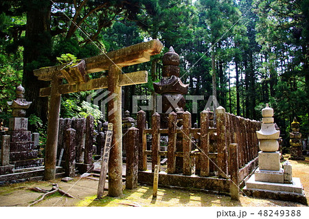 高野山 奥の院 独眼竜 伊達政宗 墓所 ( 和歌山県 伊都郡 高野町 ) 高野山 奥の院 独眼竜 伊達政宗 墓所 ( 和歌山県 伊都郡 高野町 ) 48249388