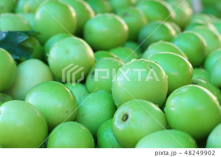 Green jujube on street food 48249902