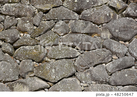 石垣 石垣 48250647