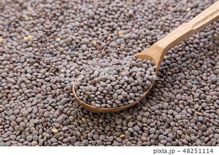 lentils vegetarian food lentils vegetarian food 48251114