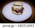 Isolated meat hamburger 48251693