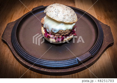 Isolated meat hamburger Isolated meat hamburger 48251703