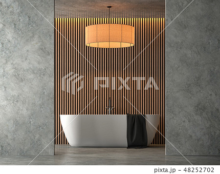 Loft style bathroom 3d render 48252702