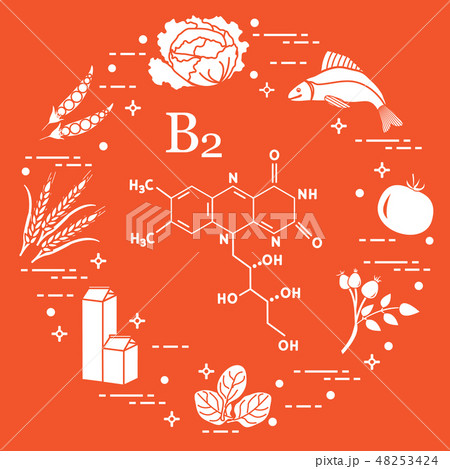 Foods rich in vitamin B2 Fish, peas and other. Foods rich in vitamin B2 Fish, peas and other. 48253424