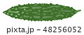 ゴーヤ 48256052
