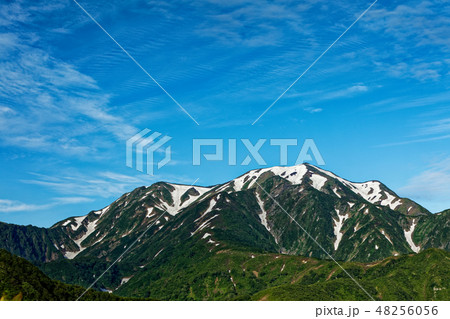 枝折峠付近から見る初夏の越後駒ヶ岳 枝折峠付近から見る初夏の越後駒ヶ岳 48256056