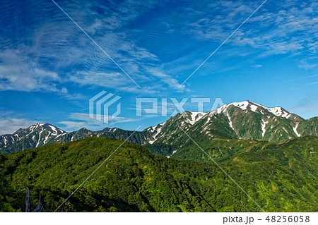 枝折峠付近から見る初夏の越後駒ヶ岳と中ノ岳 48256058