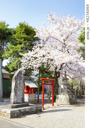 小田原 大蓮寺　稲荷堂 48256069