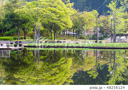 あやめ池公園 48256124