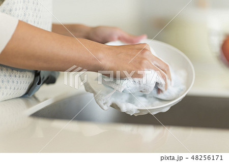 主婦　皿洗い 48256171