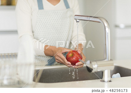 主婦 りんご洗い 主婦 りんご洗い 48256173