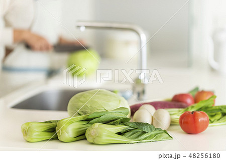 主婦 料理 48256180