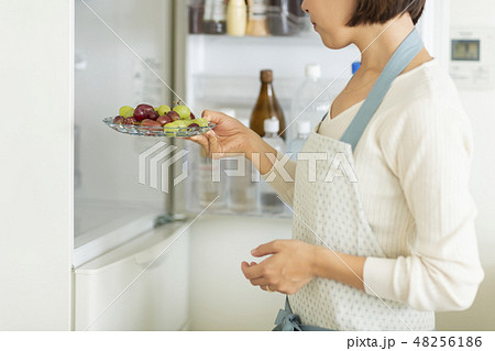 主婦 冷蔵庫 48256186
