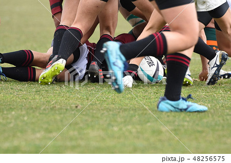 ラグビー 48256575