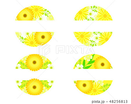 黄色い春の花の背景 黄色い春の花の背景 48256813