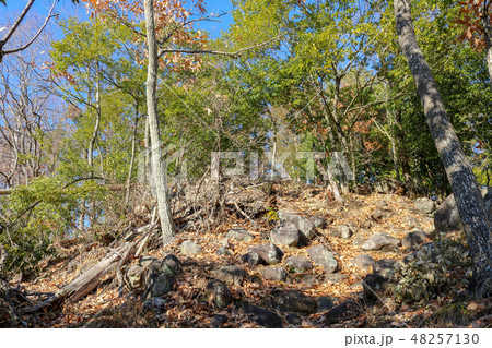若神子城 主郭跡 本丸跡 新羅三郎義光 武田信玄 山梨県の写真素材