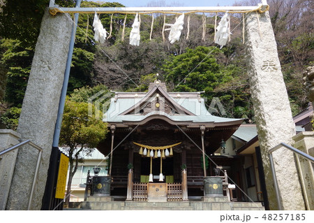 根岸八幡神社 48257185