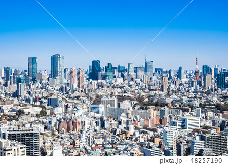 青空と東京シティビュー 青空と東京シティビュー 48257190