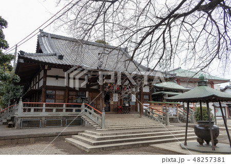 山梅照院薬王寺の本殿 山梅照院薬王寺の本殿 48257381
