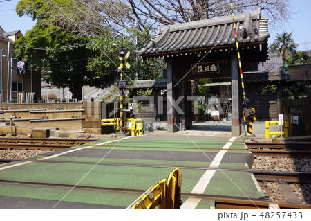 遍照院 遍照院 48257433