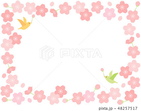 Sakura 78 - Stock Illustration [48257517] - PIXTA