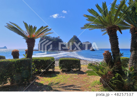 【静岡県】西伊豆　堂ヶ島　三四郎島の風景 48257537