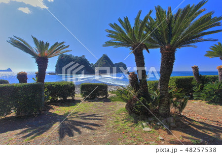 【静岡県】西伊豆　堂ヶ島　三四郎島の風景 48257538