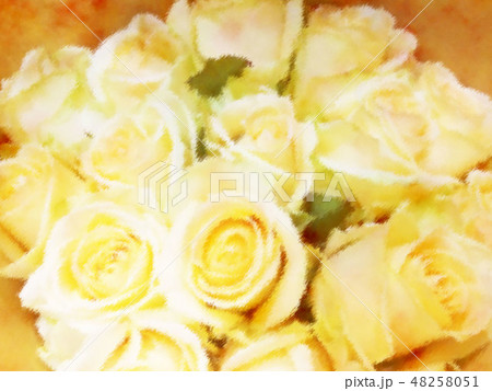 白いバラの花束 白いバラの花束 48258051