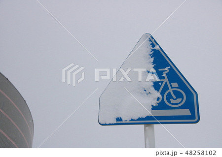着雪に覆い隠され半分見えなくなっている道路標識(指示標識)「横断歩道・自転車横断帯」。 着雪に覆い隠され半分見えなくなっている道路標識(指示標識)「横断歩道・自転車横断帯」。 48258102