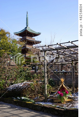 2月　上野117雪のぼたん苑と旧寛永寺五重塔･上野東照宮 48258604