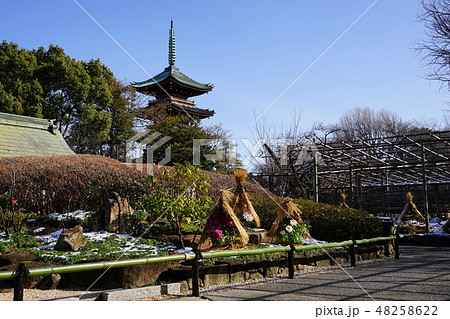 2月　上野99雪のぼたん苑と旧寛永寺五重塔･上野東照宮 48258622