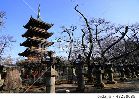 2月 上野84旧寛永寺五重塔と雪の石灯籠の写真素材 [48258639] - PIXTA