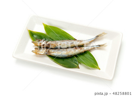 焼カラフトシシャモ 焼カラフトシシャモ 48258801