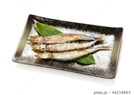 焼カラフトシシャモ 48258803