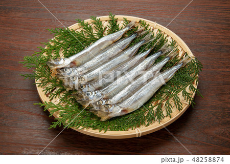 生カラフトシシャモ 生カラフトシシャモ 48258874