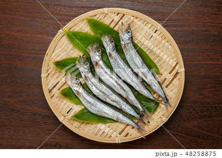 生カラフトシシャモ 48258875