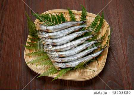 生カラフトシシャモ 48258880