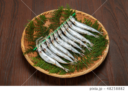 生カラフトシシャモ 生カラフトシシャモ 48258882