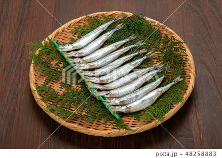 生カラフトシシャモ 48258883