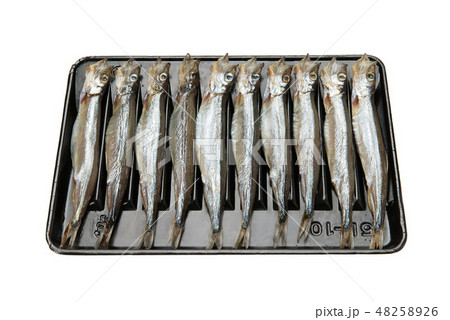 生カラフトシシャモ 48258926