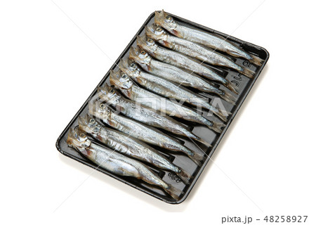 ししゃもに似た代用品、生カラフトシシャモ ししゃもに似た代用品、生カラフトシシャモ 48258927