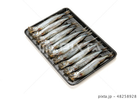 生カラフトシシャモ 生カラフトシシャモ 48258928