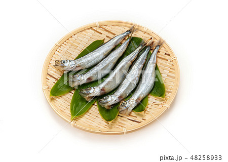 生カラフトシシャモ 48258933