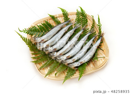 生カラフトシシャモ 48258935