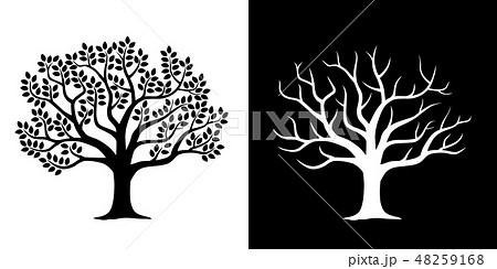 葉の茂った木と散った木 イラストセットのイラスト素材