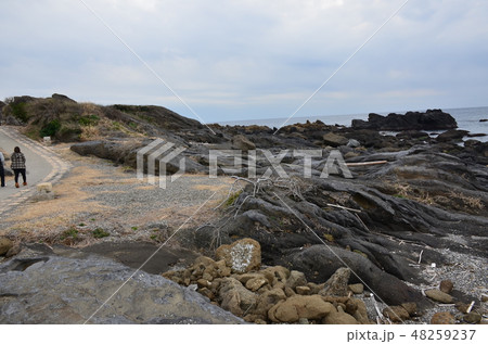 野島崎 野島崎 48259237