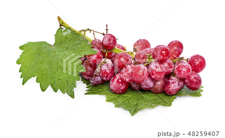 Red grape with leaf isolated on white background Red grape with leaf isolated on white background 48259407