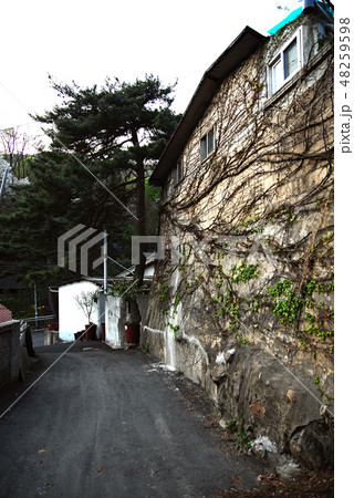 路地 フェンス 塀 48259598