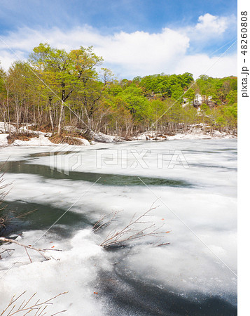 新緑と雪解けの鎌池 新緑と雪解けの鎌池 48260808