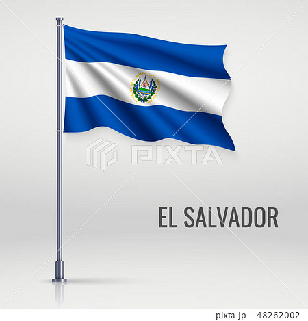 Waving flag on flagpole 48262002